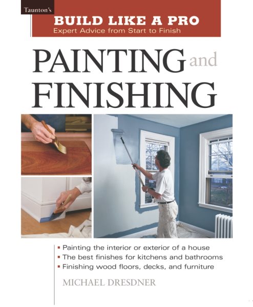 Painting and Finishing (Build Like A Pro) cover