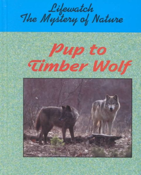 Pup to Timber Wolf (Lifewatch)