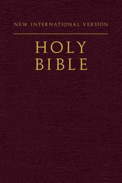 NIV, Holy Bible, Compact, Paperback, Burgundy cover