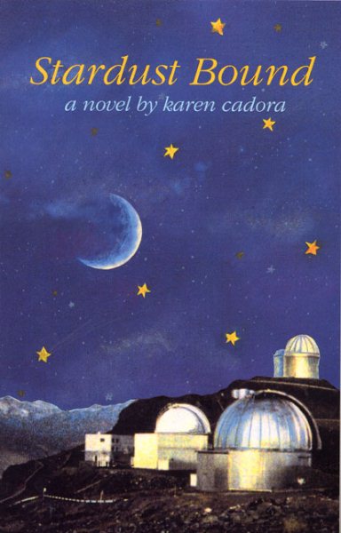 Stardust Bound: A Novel cover