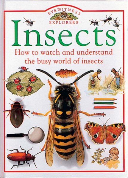 Insects (Eyewitness Explorers) cover
