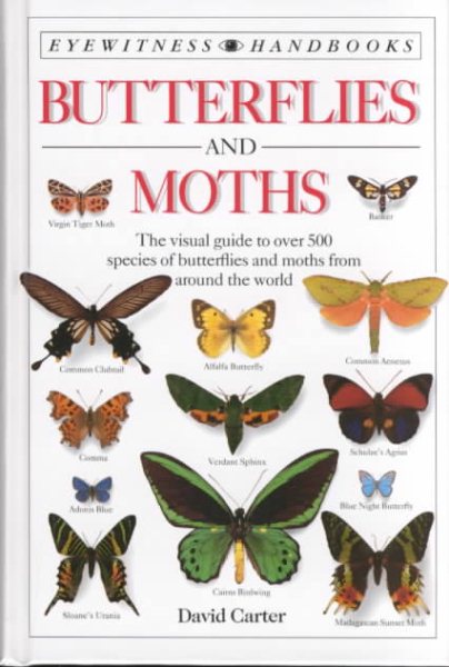 Butterflies & Moths (DK Handbooks) cover