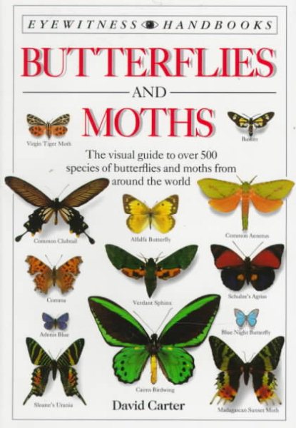 Butterflies and Moths (Eyewitness Handbooks) cover