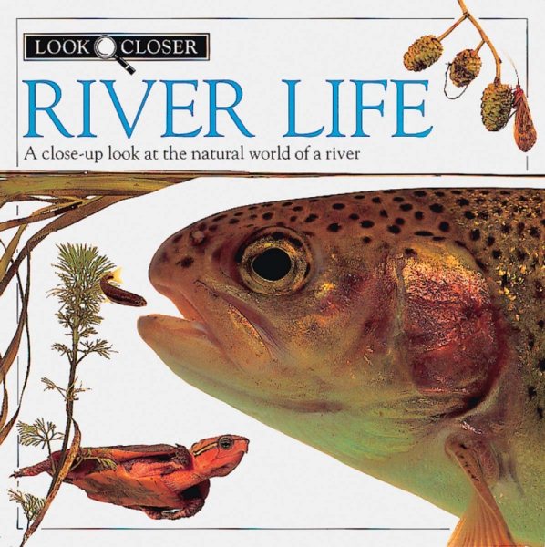 River Life (Look Closer) cover