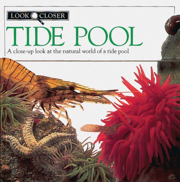 Tide Pool (Look Closer)