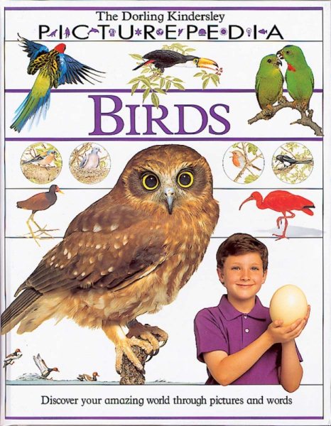 Birds (DK Picturepedia) cover
