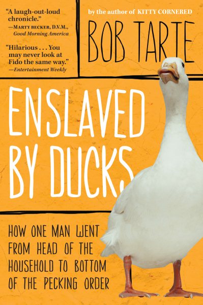 Enslaved by Ducks cover
