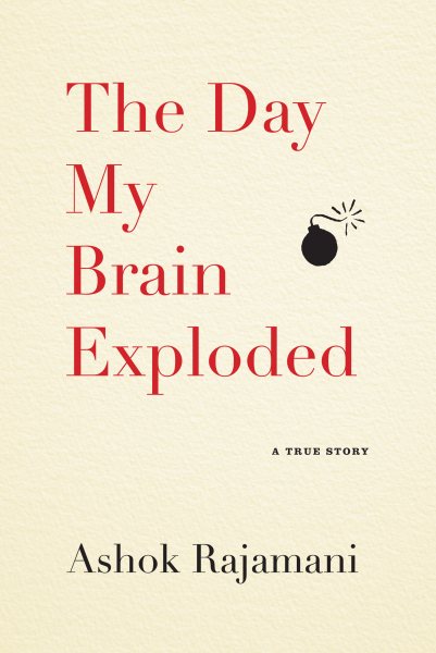 The Day My Brain Exploded: A True Story cover