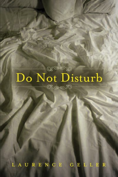 Do Not Disturb: A Novel cover