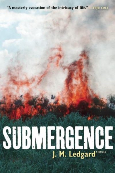 Submergence cover
