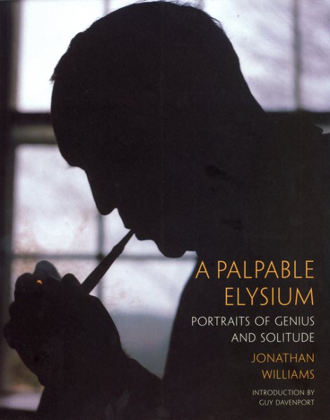 A Palpable Elysium cover