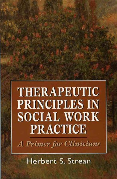 Therapeutic Principles in Social Work Practice: A Primer for Clinicians (The Master Work) cover