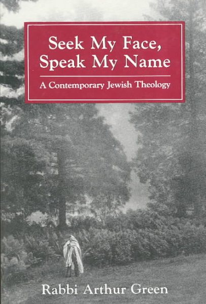 Seek My Face Speak My Name: A Contemporary Jewish Theology cover