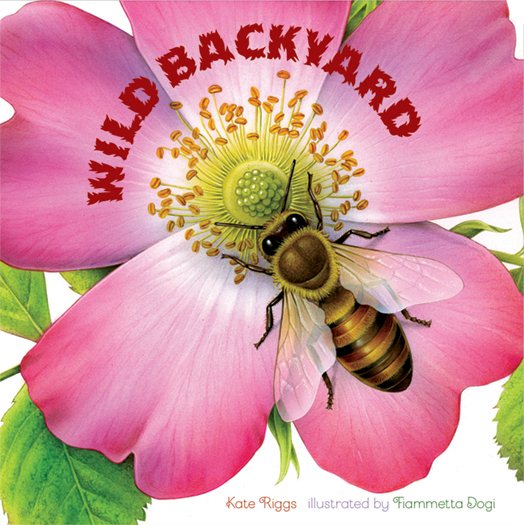 Wild Backyard cover