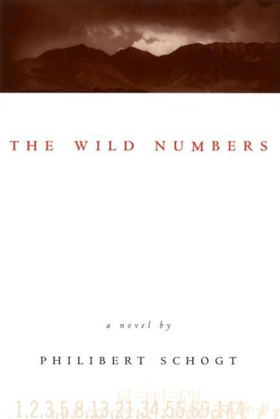 The Wild Numbers: A Novel cover