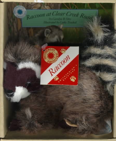 Raccoon at Clear Creek Road - a Smithsonian's Backyard Book cover