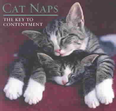 Cat Naps: The Key to Contentment