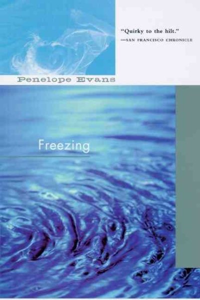 Freezing cover