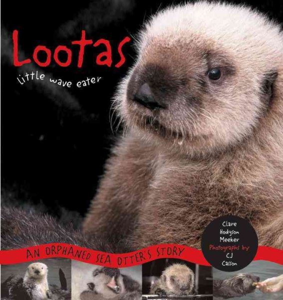 Lootas Little Wave Eater: An Orphaned Sea Otter's Story cover
