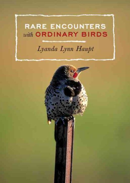 Rare Encounters with Ordinary Birds cover