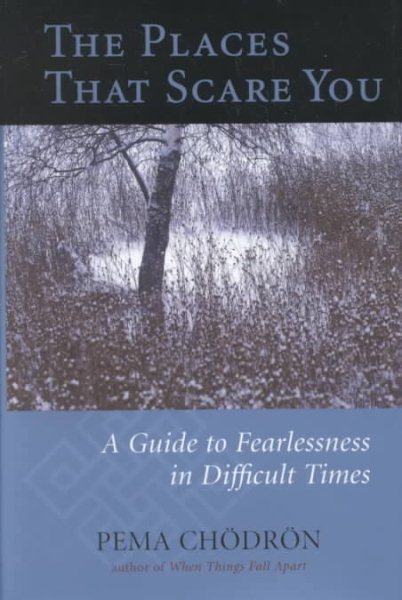 The Places That Scare You: A Guide to Fearlessness in Difficult Times cover