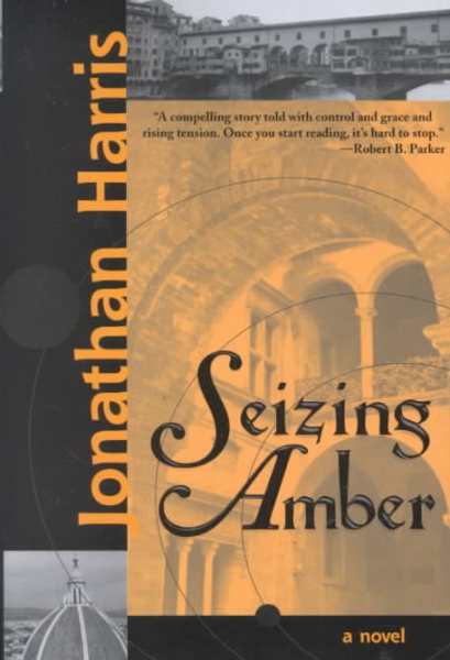 Seizing Amber cover