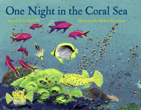 One Night in the Coral Sea cover
