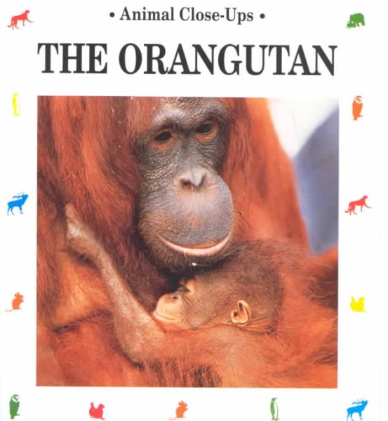 The Orangutan: Forest Acrobat (Animal Close-Ups) cover