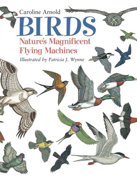 Birds: Nature's Magnificent Flying Machines cover