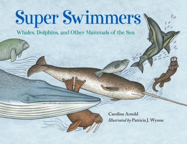 Super Swimmers: Whales, Dolphins, and Other Mammals of the Sea cover