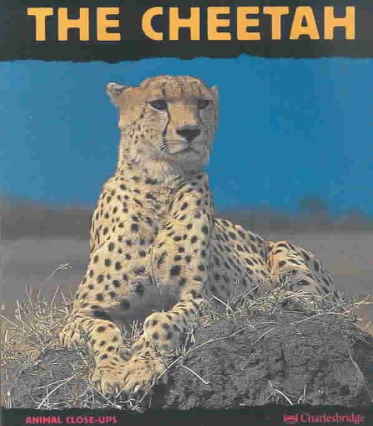 The Cheetah: Fast as Lightning (Animal Close-Ups) cover