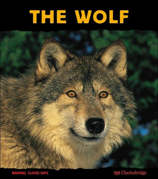 The Wolf: Night Howler (Animal Close-Ups) cover