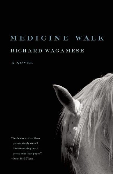 Medicine Walk cover