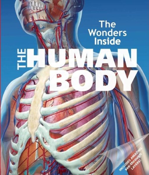 The Human Body (The Wonders Inside) cover