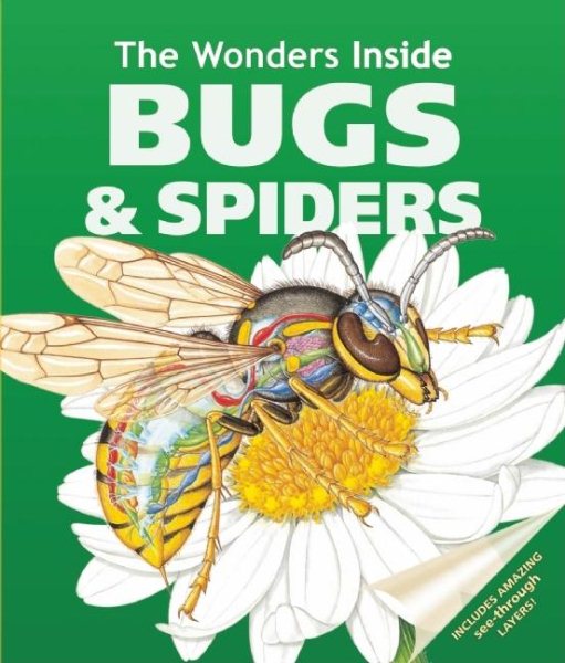 Bugs and Spiders (The Wonders Inside) cover