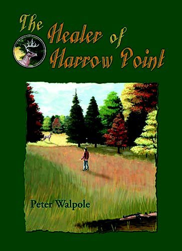 The Healer of Harrow Point cover