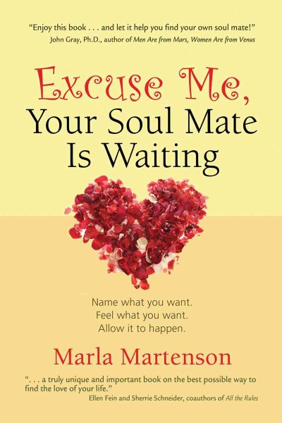Excuse Me, Your Soul Mate Is Waiting cover
