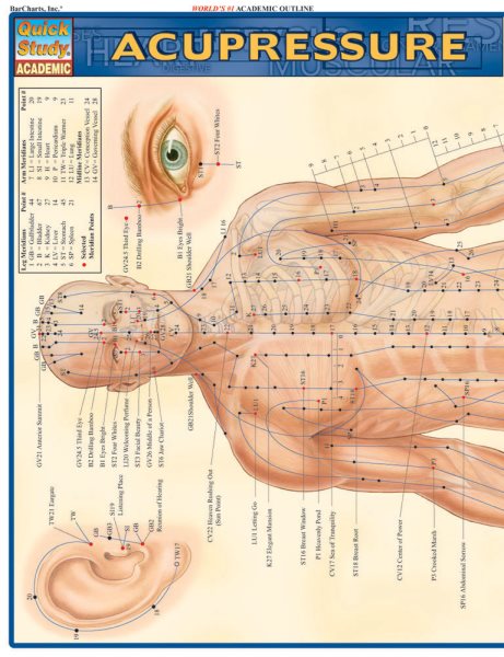 Acupressure Laminated Reference Guide (Quick Study Academic Outline) cover