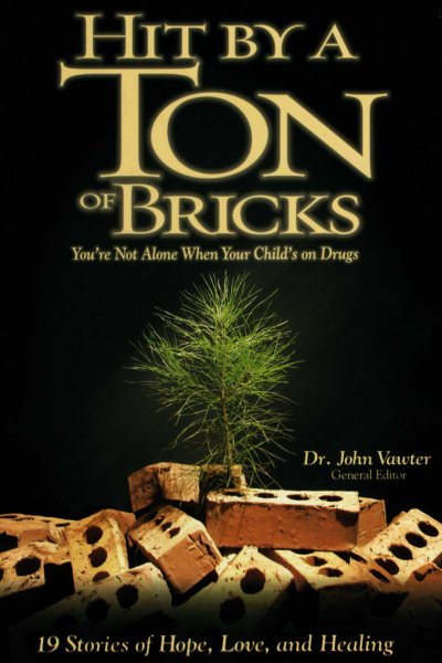 Hit by a Ton of Bricks: You're Not Alone When Your Child's on Drugs cover