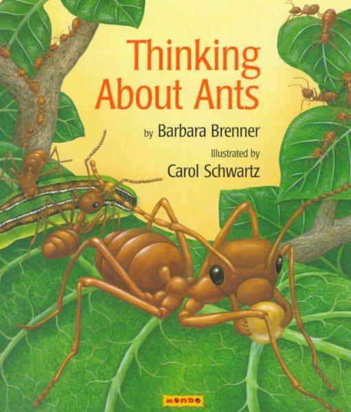 Thinking About Ants cover