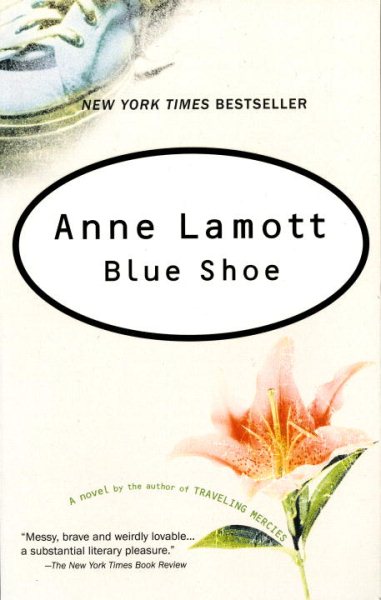 Blue Shoe cover