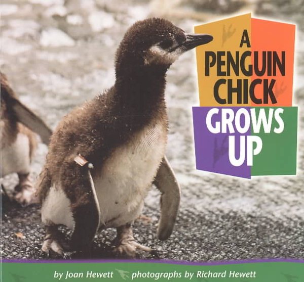 A Penguin Chick Grows Up (Baby Animals)