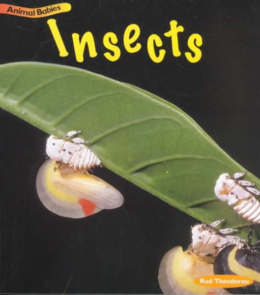 Insects (Animal Babies) cover