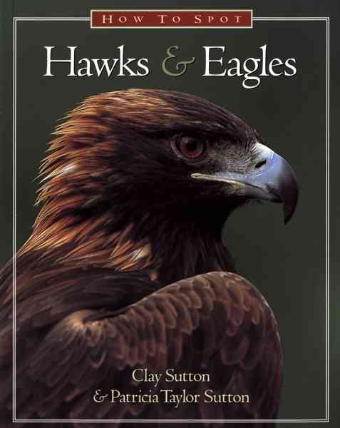 How to Spot Hawks & Eagles (The How to Spot Series) cover