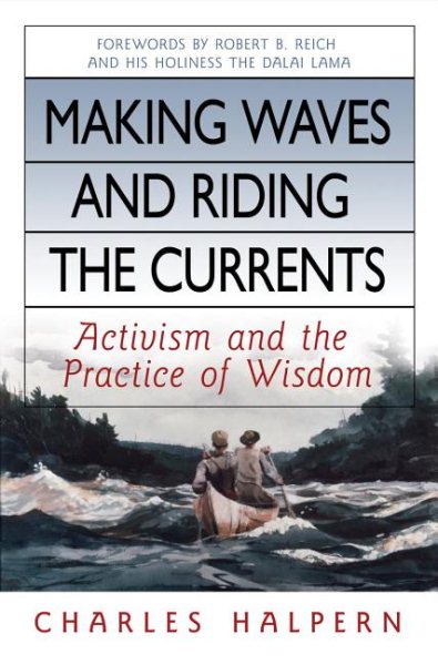 Making Waves and Riding the Currents: Activism and the Practice of Wisdom cover
