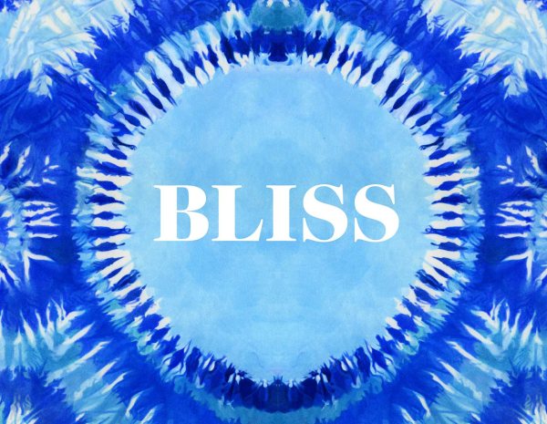 Bliss: Transformational Festivals & the Neo Hippie cover