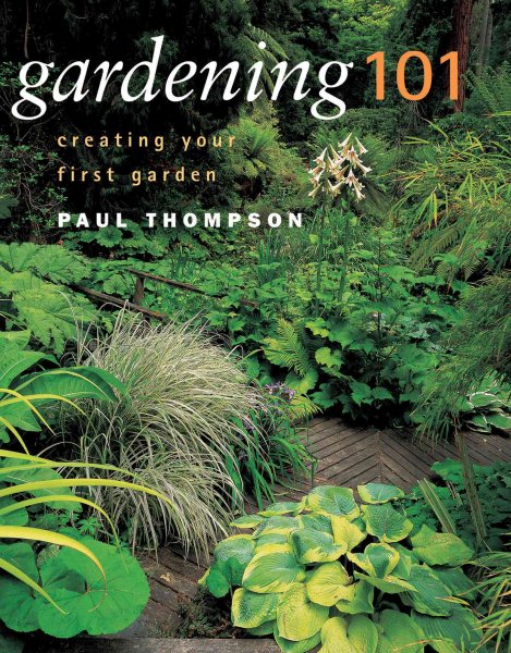 Gardening 101: Creating Your First Garden