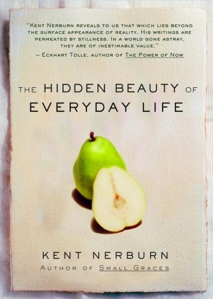 The Hidden Beauty of Everyday Life cover