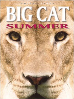 Big Cat Summer cover