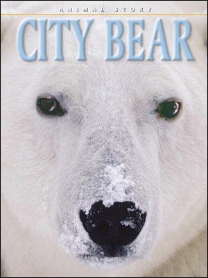 City Bear cover